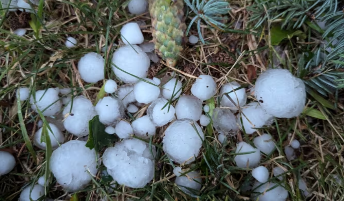 Calgary airport : Severe Thunderstorms and Hail Batter Southern Alberta